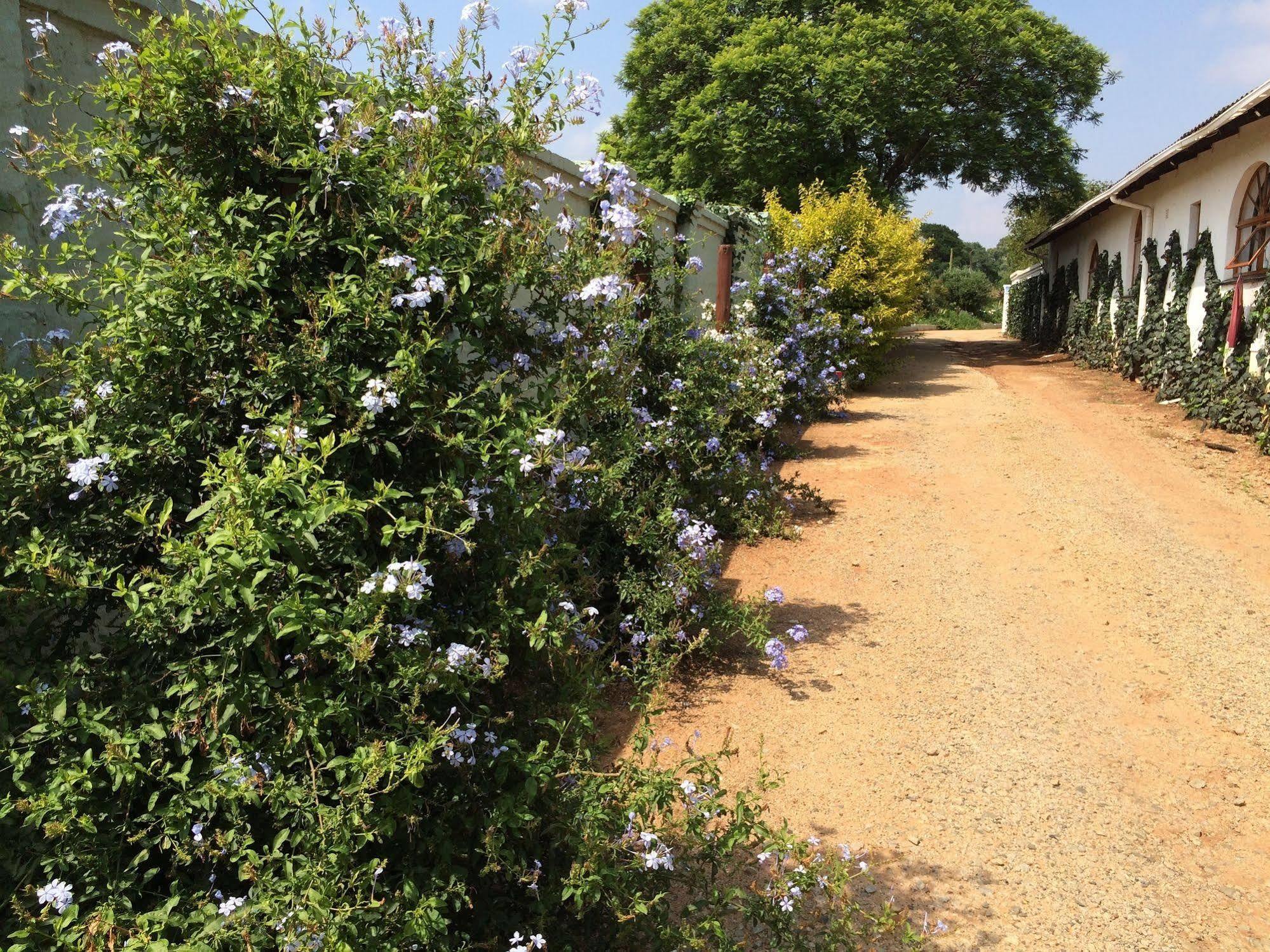 Blue Mango Lodge Kempton Park Exterior photo